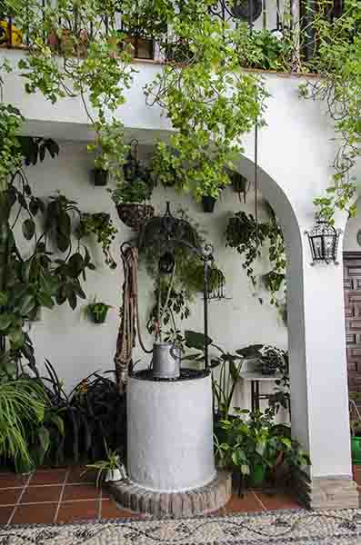 Córdoba 191 - barrio san Basilio - Patios del Alcazar Viejo - calle San Basilio 22.jpg